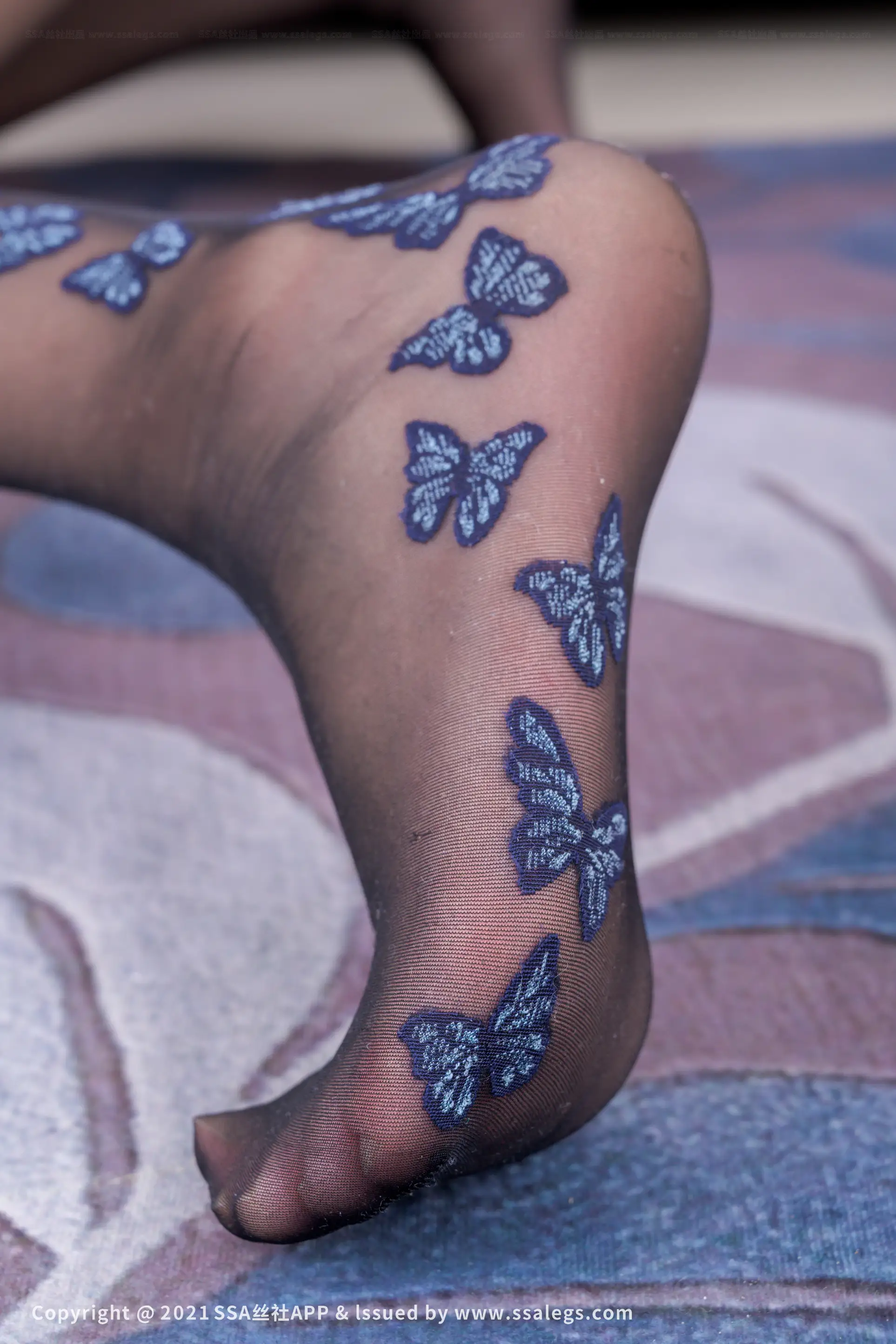 [Mzsock] NO.773 Polish butterfly pattern stockings with plain legs (Part 2) silk club#[112P]-9