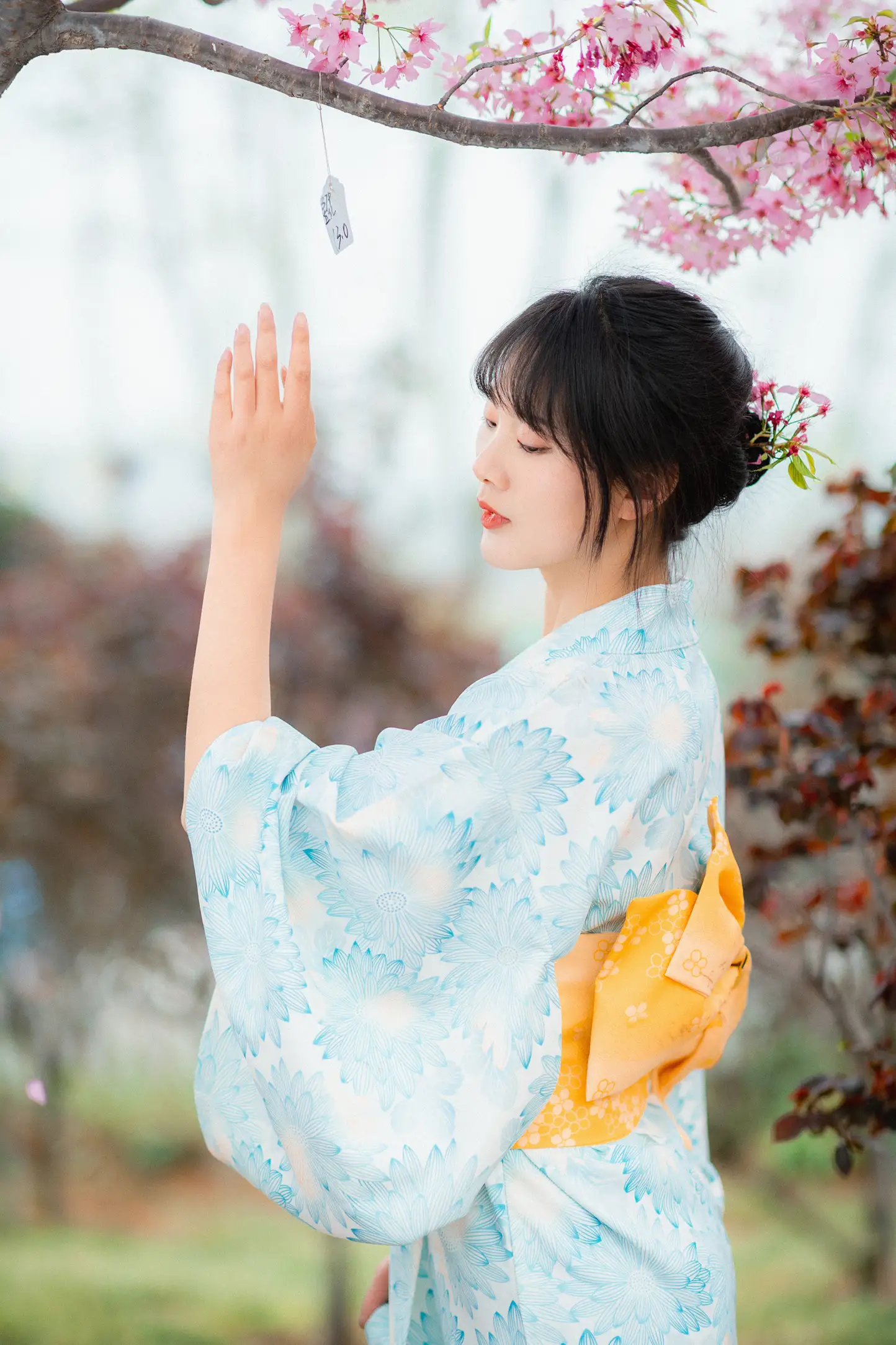 [YITUYU] 2022.11.19 Vol.2478 – Under the Sakura Tree Meimei who loves to take pictures#[23P]-3