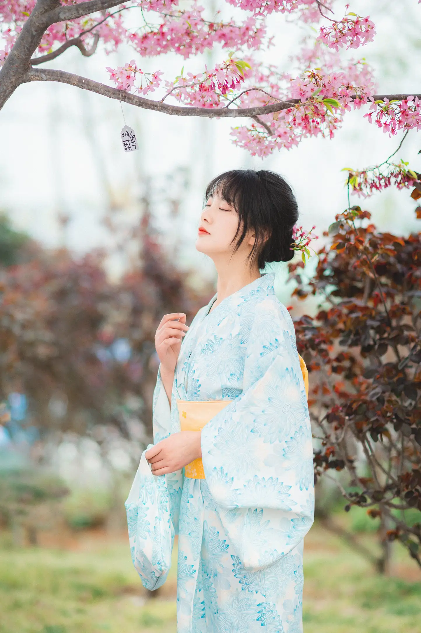 [YITUYU] 2022.11.19 Vol.2478 – Under the Sakura Tree Meimei who loves to take pictures#[23P]-6